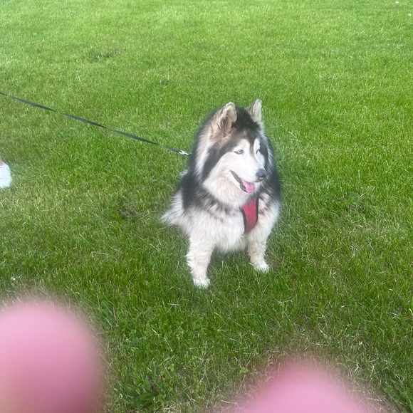 Meet your Posher, Brooke - Picture 7 of 11